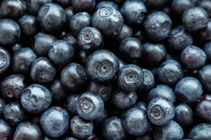 nutrition