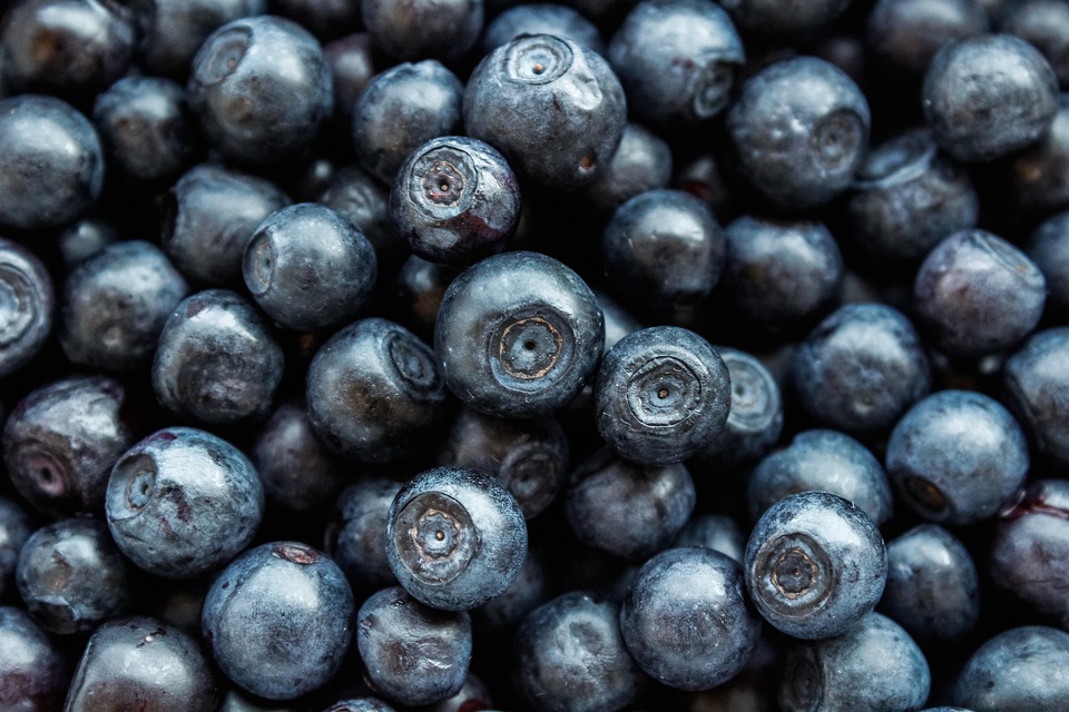 nutrition