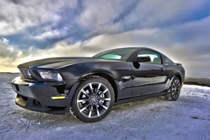 muscle