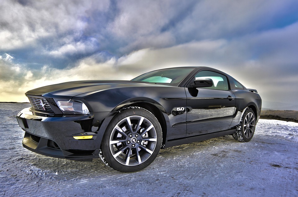 muscle