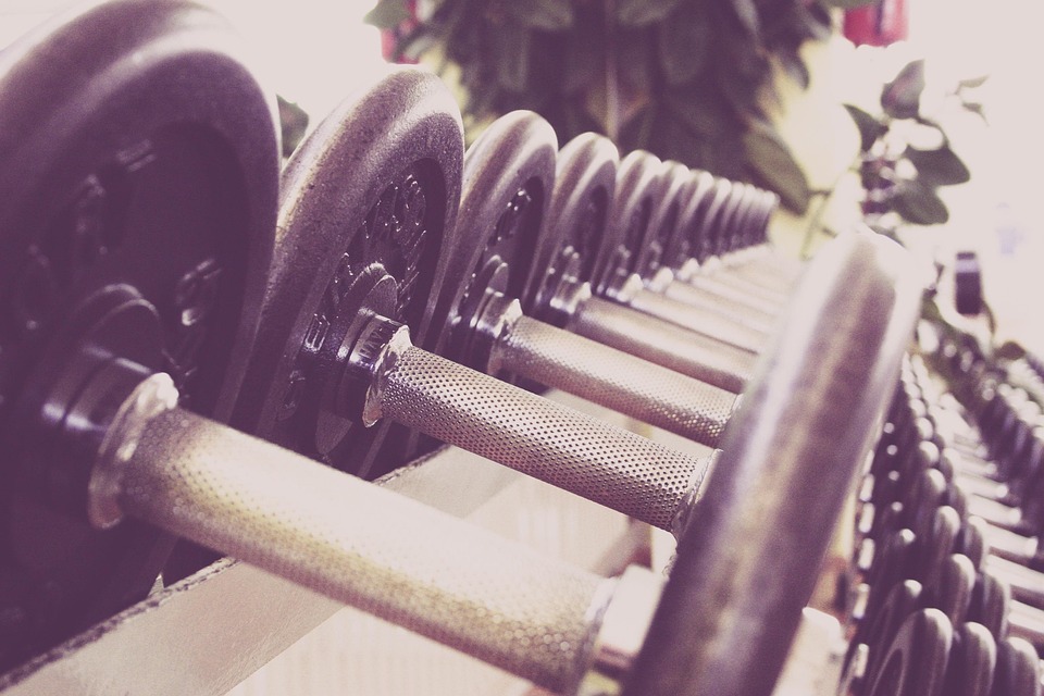 muscle