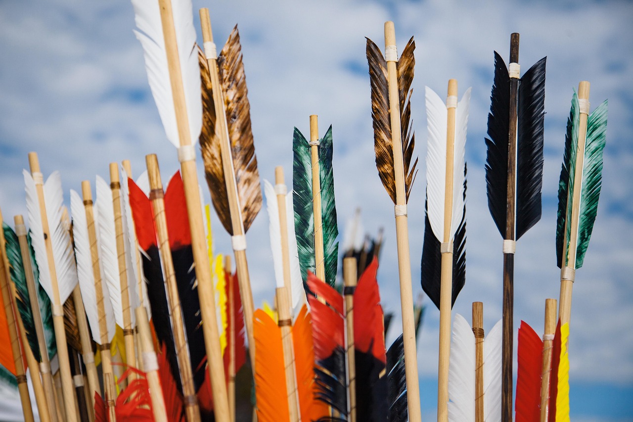 Arrows, nature, archery, fletching, sky, arrow, bow