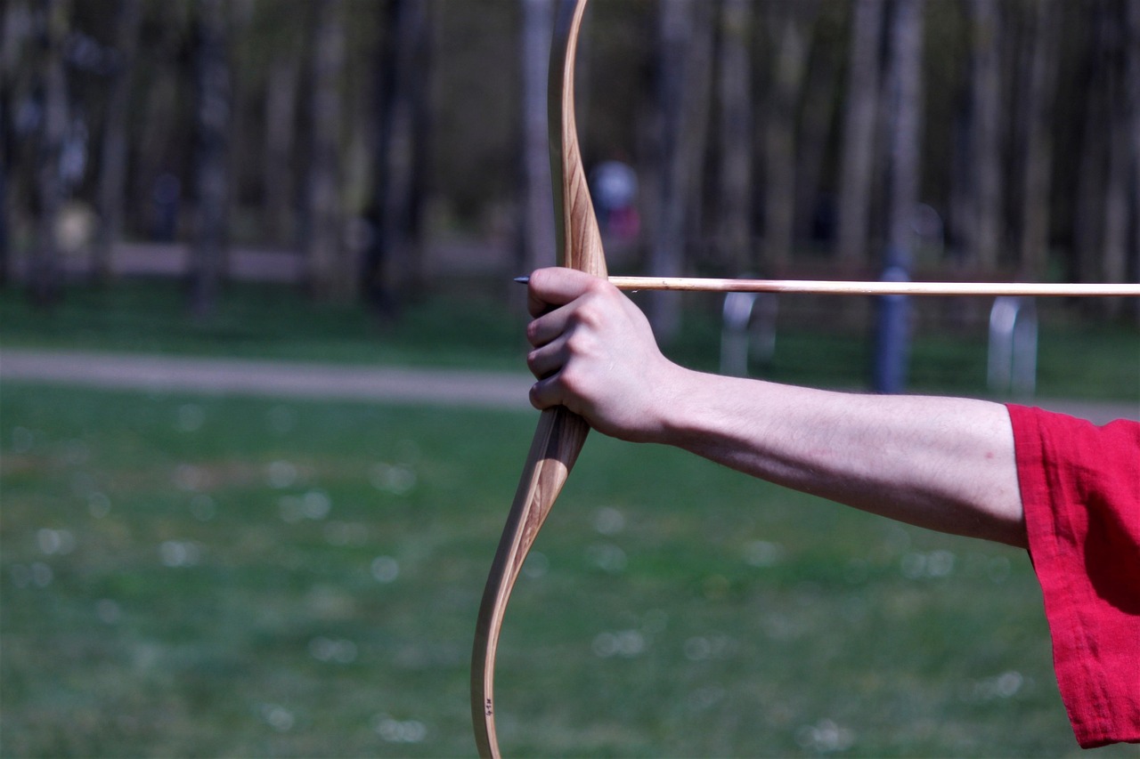 Competition, people, sports, bow, arrow, athletic, poor, weapon, objectives, archery, middle ages, active, traditional bow, leisure time, archery, archery, archery, archery, archery
