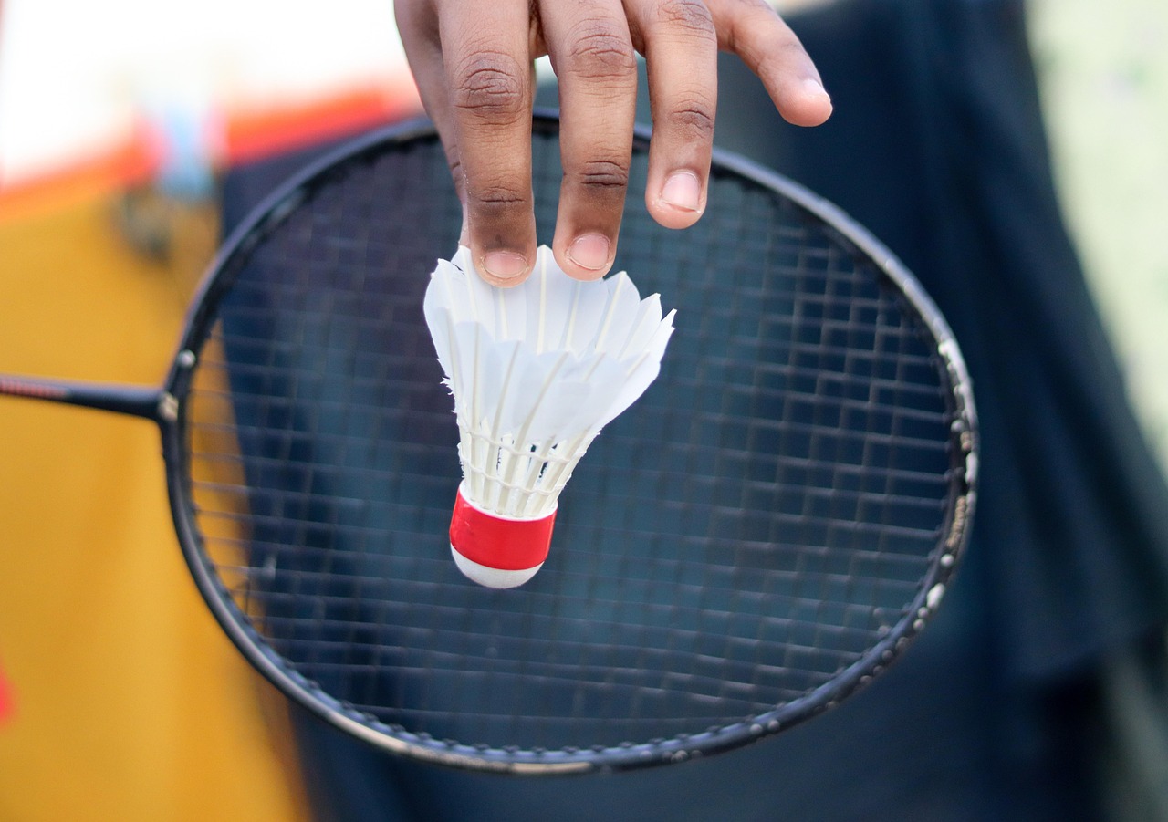 Badminton, racket, shuttlecock, sport, badminton racket, feathers, activity, birdie, competition, equipment, game, badminton game, play, badminton, badminton, badminton, badminton, badminton