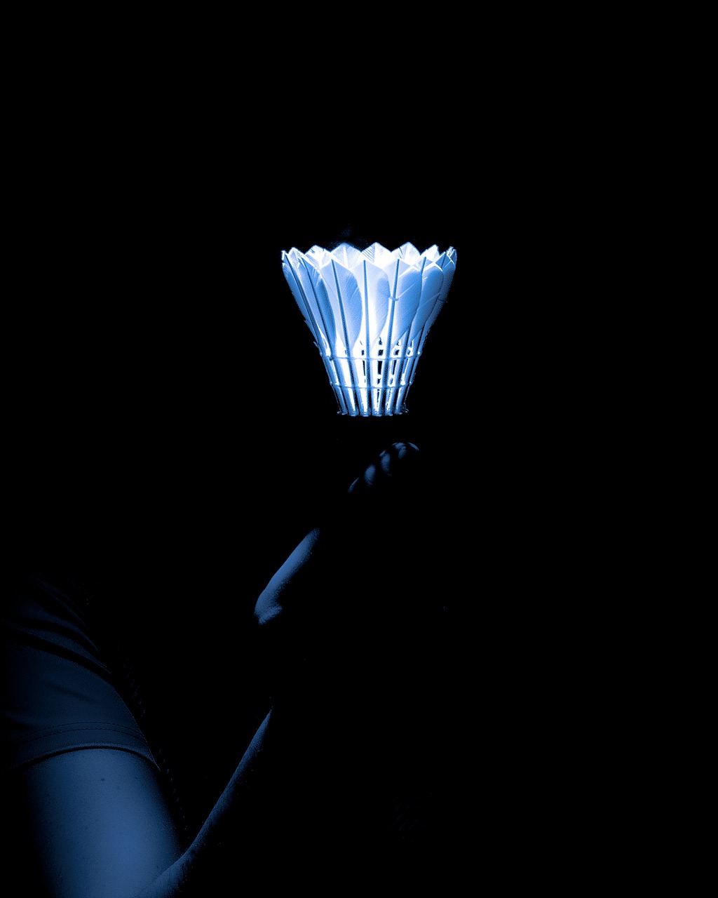 Badminton, shuttlecock, birdie, sport, competition, leisure, hobby, play, movement, badminton, badminton, badminton, badminton, badminton
