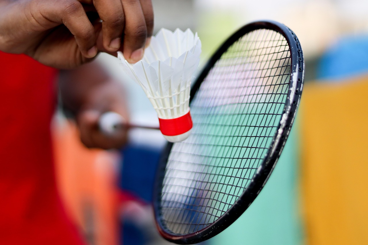 Badminton, racket, shuttlecock, sport, badminton racket, feathers, activity, birdie, competition, equipment, game, badminton game, play, badminton, badminton, badminton, badminton, badminton