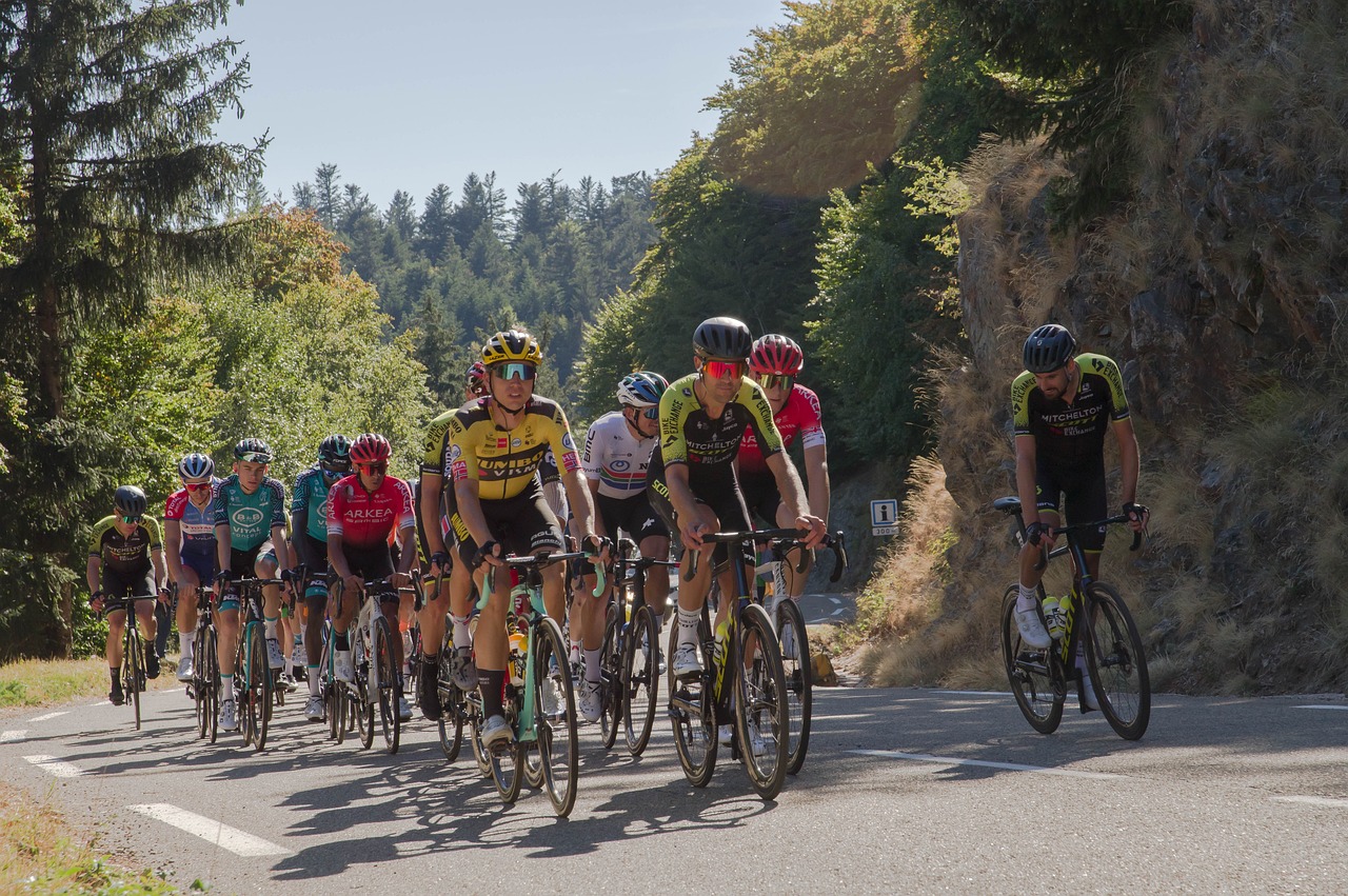 Tour de france, cycling, race, racing, sport, bicycling, biking, cyclists, bicyclists, bikers, riders, bicycle racer, track racer, sprint, bike, bicycle, activity, recreational activity, competition, 