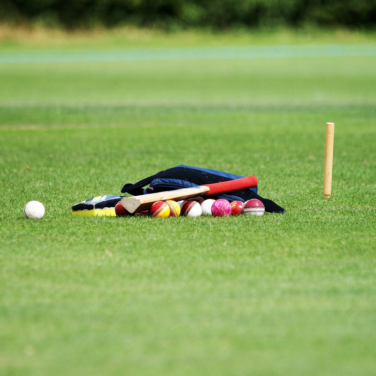 Cricket, cricket balls, coaching, ball, sport, sports, exercise, active, activity, fitness, health, training, cricket, cricket, cricket, cricket, cricket