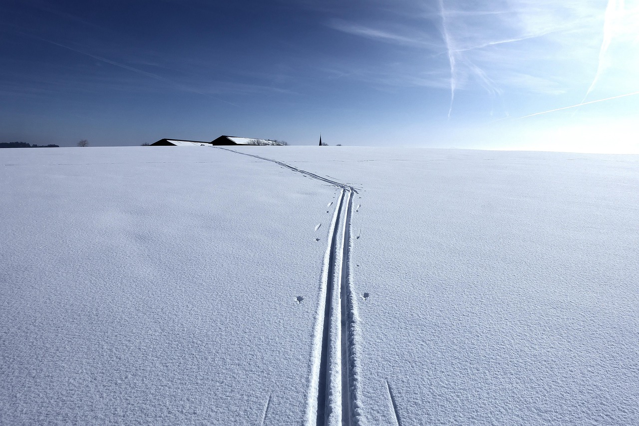 Winter, snow, cross-country skiing trail, cold, landscape, nature, winter landscape, wintry, sun, white, snowy, homestead, steeple