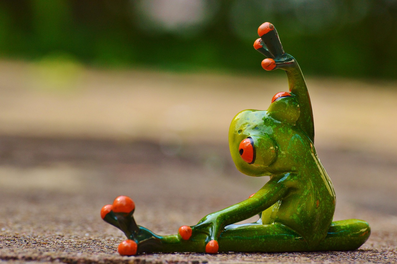Sports, gymnastics, frog, fun, fitness, fit, athletic, training, gymnastics, gymnastics, gymnastics, gymnastics, gymnastics, frog, frog, frog, frog, fitness, fitness, fitness, fitness, training