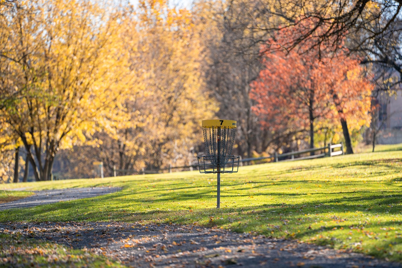 Basket, metal, target, frisbee, chain, disc golf, frisbee golf, fall, autumn, sport, play, disc, recreation, game, park, golf, leisure, course, fun, recreational, hole, outdoors, disc golf, disc golf,