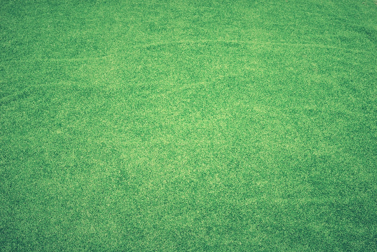 Lawn, grass, artificial grass, green, windows wallpaper, field, 4k wallpaper, beautiful wallpaper, background, free wallpaper, nature, 4k wallpaper 1920x1080, green background, desktop backgrounds, ma