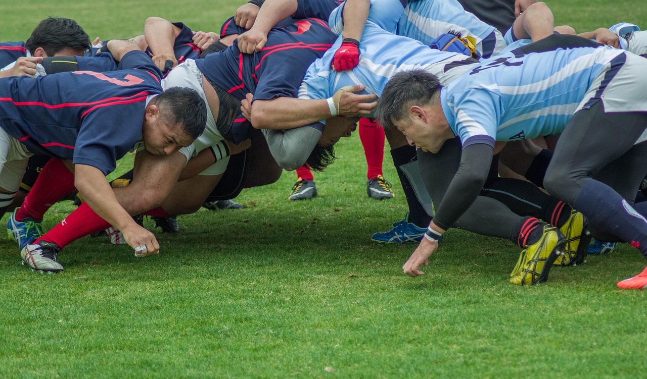 Sport, rugby, team, match, scrum, green team, green sports, rugby, rugby, rugby, rugby, rugby, scrum, scrum, scrum
