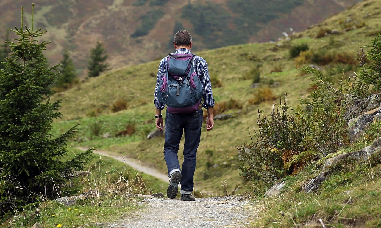 Mountaineering, man, trail, path, mountains, male mountaineer, wanderer, backpacking, backpack, hike, away, mountain hiking, hiking, adventure, activity, trekking, traveler, tourist, lifestyle, mounta