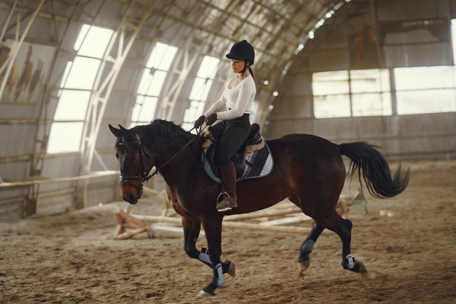 Best Horse Riding Helmets 2026: 6 ASTM/SEI Picks