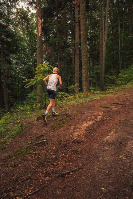 Best Knee Brace for Running 2026: 5 Honest Picks
