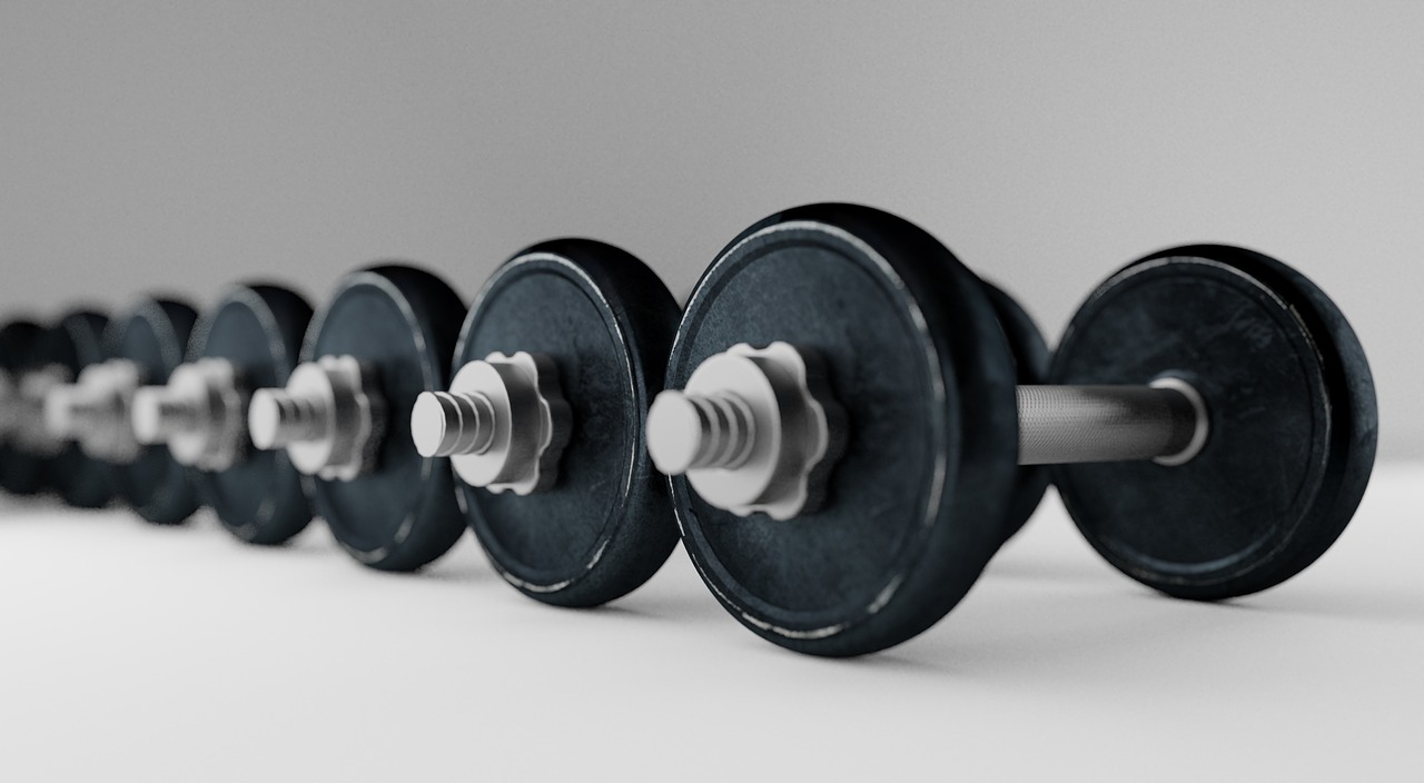 Dumbell, barbell, bodybuilding, equipment, fitness, exercise, sport, gym, weight, workout, fit, healthy, lifting, training, heavy, strength, dumbbell, body, strong, weightlifting, muscle, gray fitness