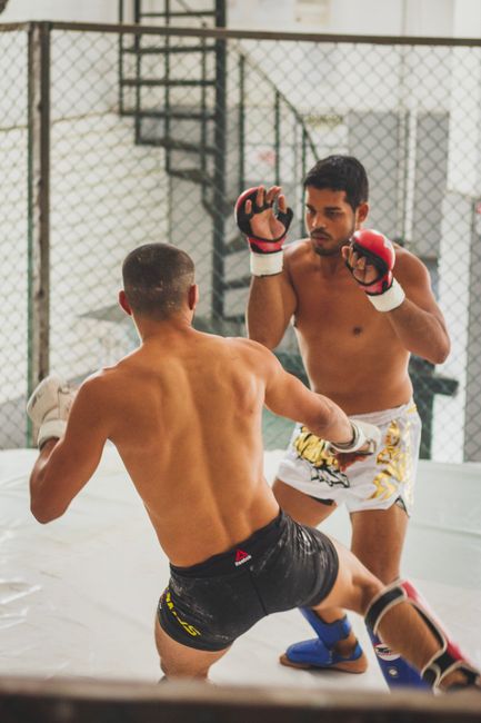 Best MMA Gloves 2026: Fight, Sparring and Hybrid Picks