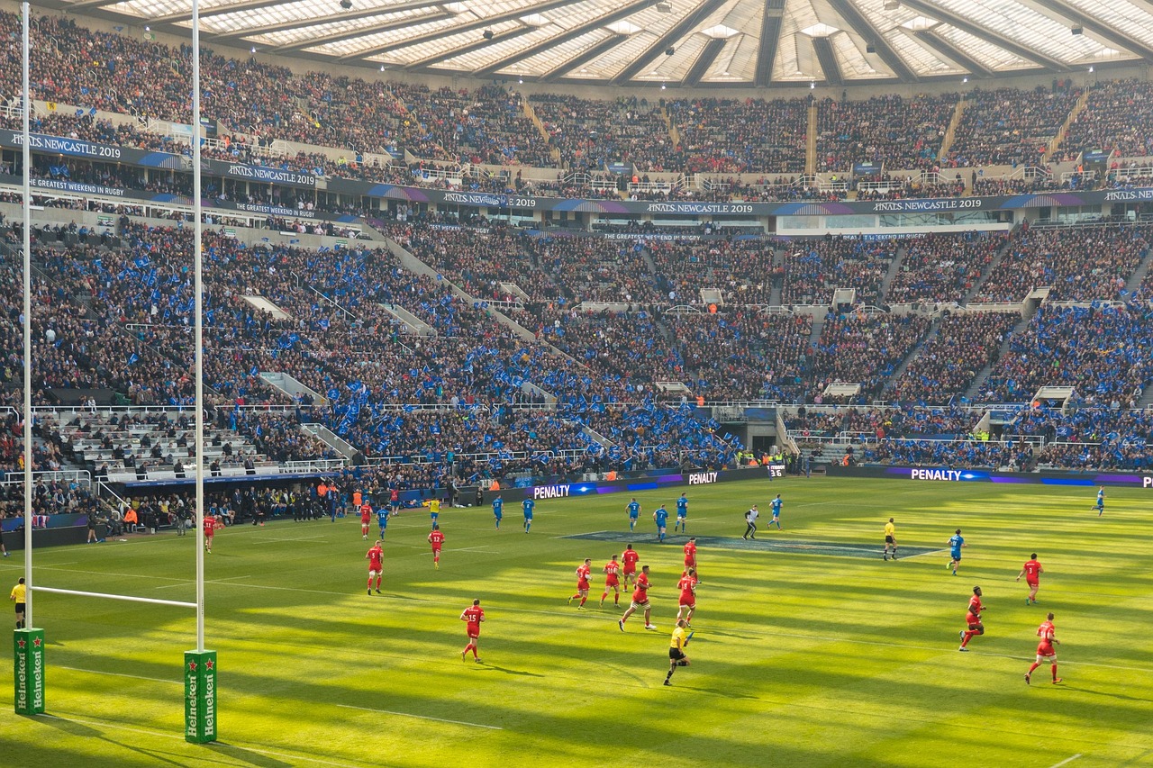 Rugby, heineken cup, saracens, leinster, newcastle, rugby, rugby, rugby, rugby, rugby