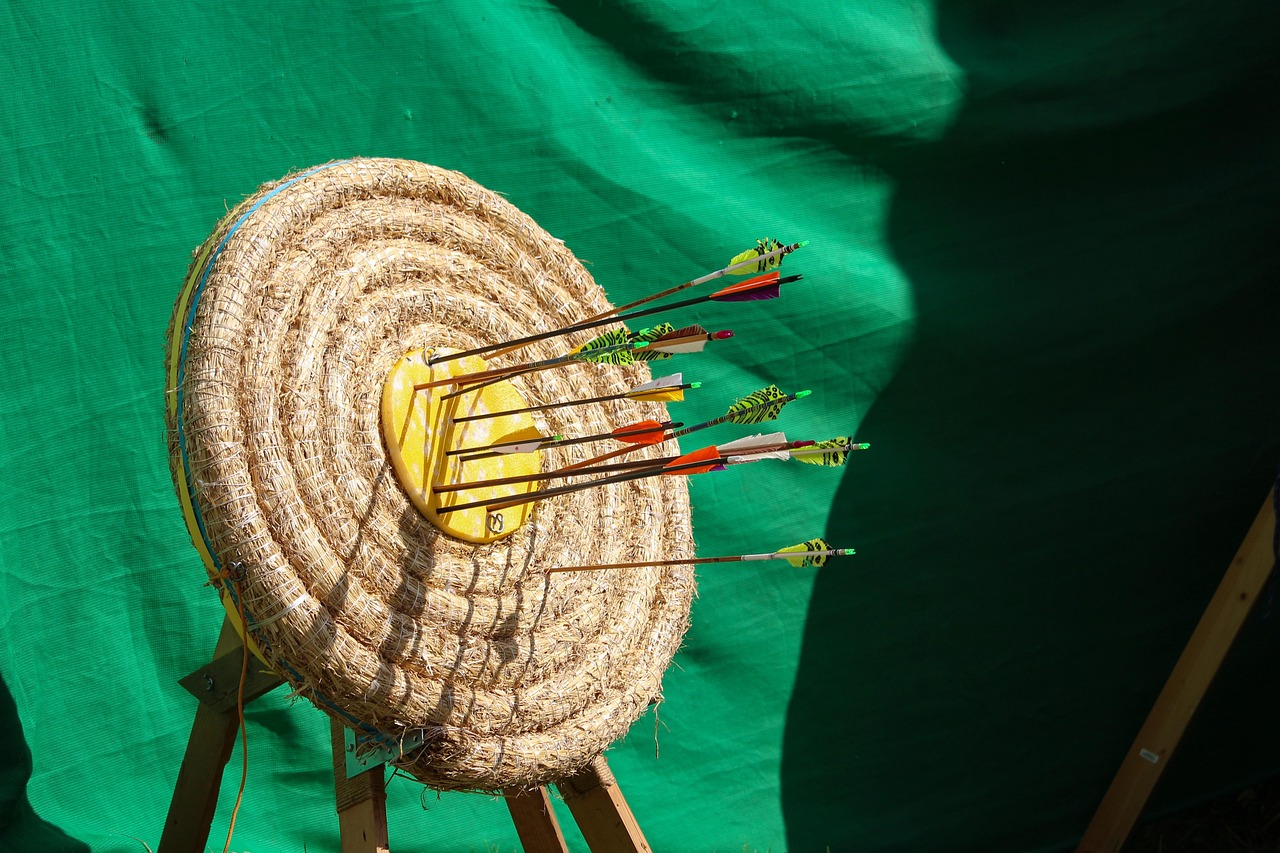 Arrow, target, range, bullseye, sport, aim, hit, accuracy, shooting, training, archery, shot, game, competition, center, dartboard, aiming, practice, circle, targeting, goal, achievement, bow, precisi