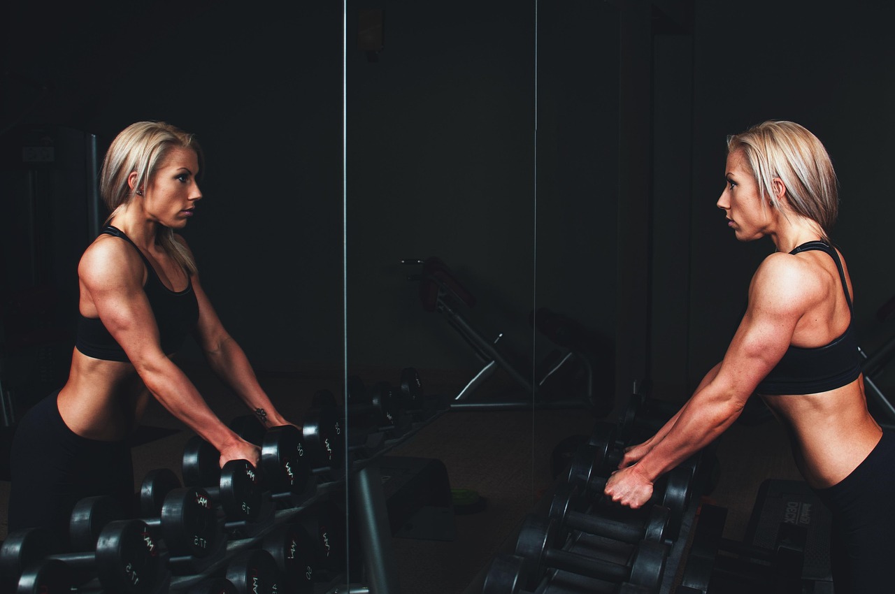 Training, muscles, arms, blonde, bar bells, workout, fitness, exercise, sport, gym, strong, young, woman, person, healthy, lifestyle, body, fit, muscular, studio, athlete, equipment, strength, female,