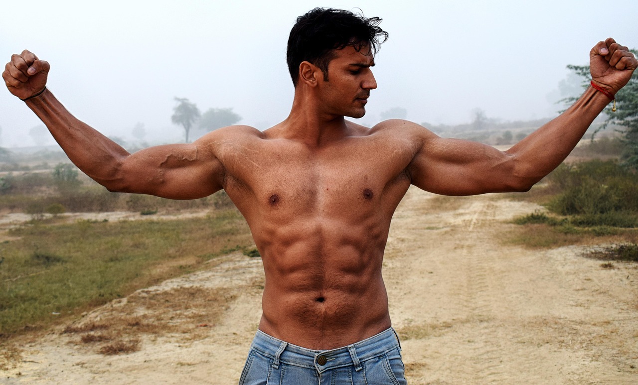 Biceps, triceps, fit, fitness, muscle, body, athlete, bodybuilder, muscular, chest, bodybuilding, gym, torso, strong, training, athletic, workout, abs, sport, diet, handsome, strength, exercise, lifti