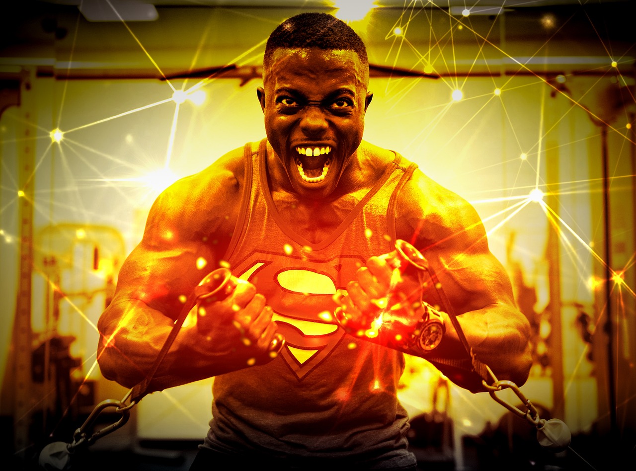 Bodybuilder, weight, training, fitness, gym, workout, exercise, body, fit, sport, athlete, bodybuilding, strength, athletic, strong, muscular, muscle, editorial use, bodybuilder, bodybuilder, gym, gym
