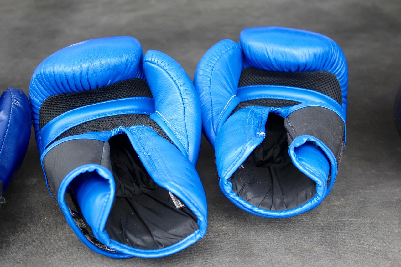 Boxing, gloves, blue, training, thai boxing, thailand, ring, battle, discipline, championship, competition, boxing, thai boxing, discipline, discipline, discipline, discipline, discipline