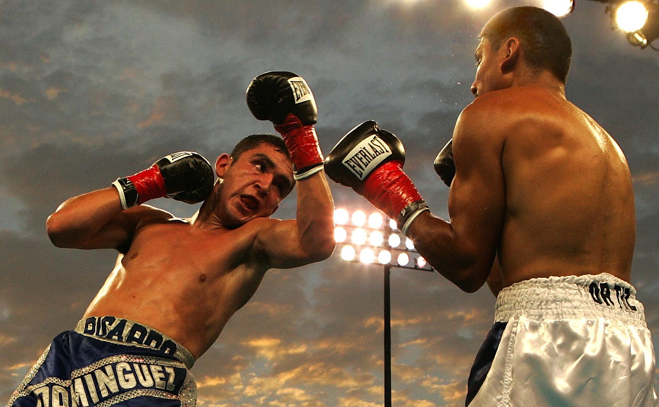 Boxing, sport, boxing match, athletes, boxers, uppercut, punch, ricardo dominguez, rafael ortiz, boxing ring, fight ring, boxing, boxing, boxing, boxing, boxing