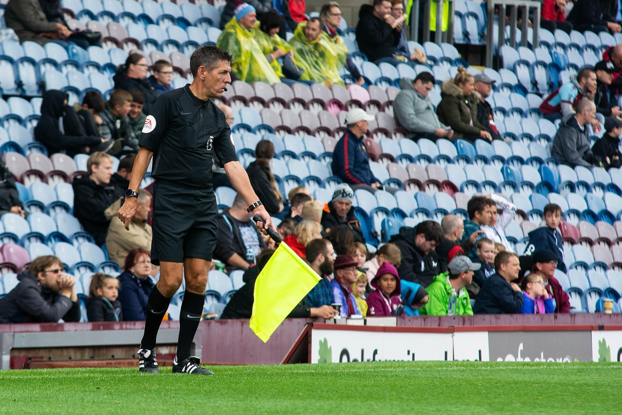 Linesman, official, liner, flag, soccer, football, premier league, premier league, premier league, premier league, premier league, premier league