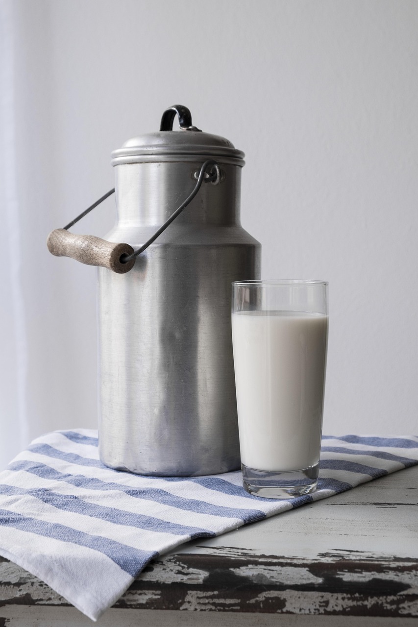Milk, food, nourishment, drink, glass, strengthening, meal, energy, protein, milk can, milk, milk, milk, milk, milk