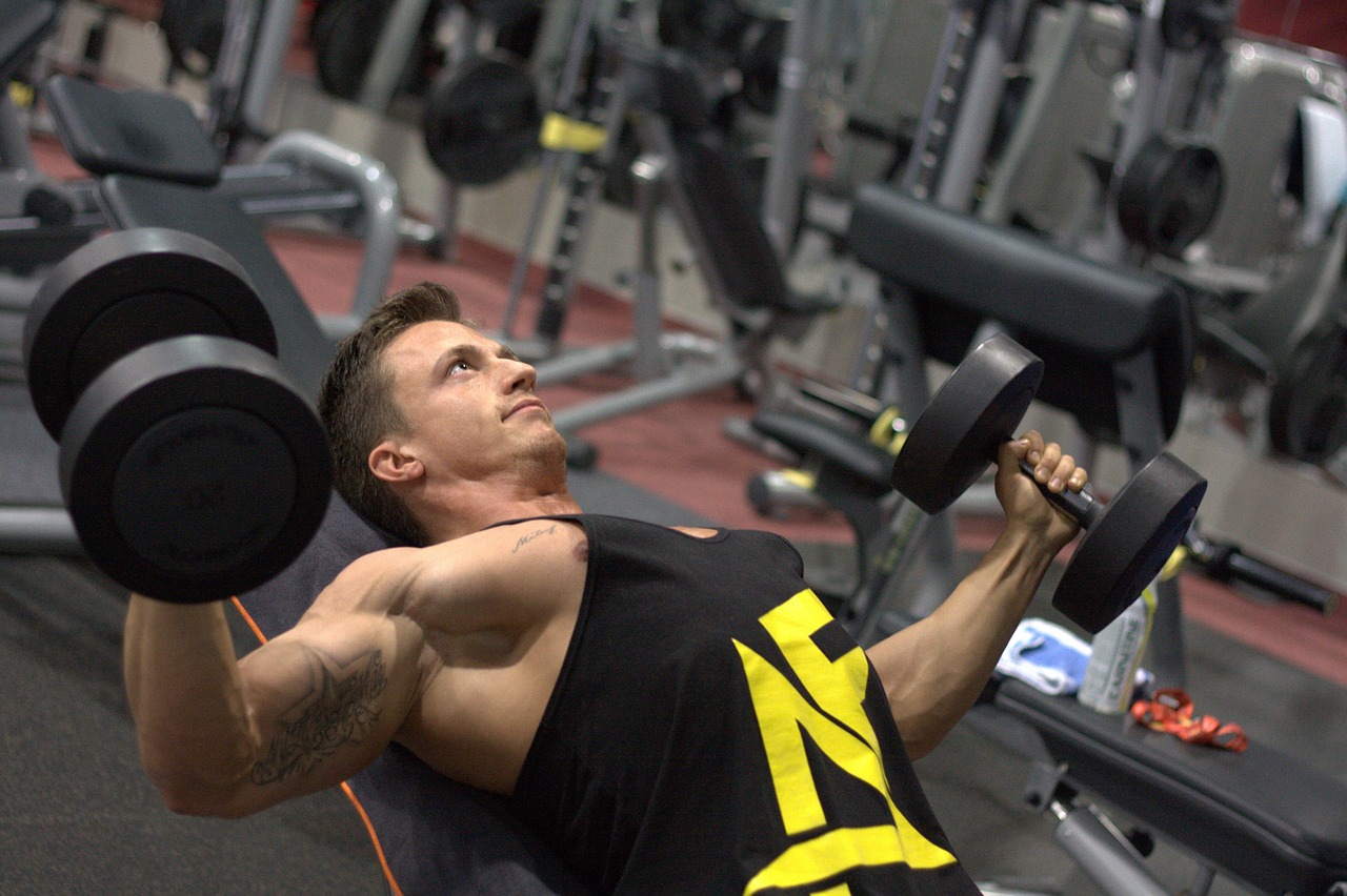 Man, training, dumbbells, strengthening, muscles, gym, fitness, athlete, muscular, sport, exercise, bodybuilder, gym, bodybuilder, bodybuilder, bodybuilder, bodybuilder, bodybuilder