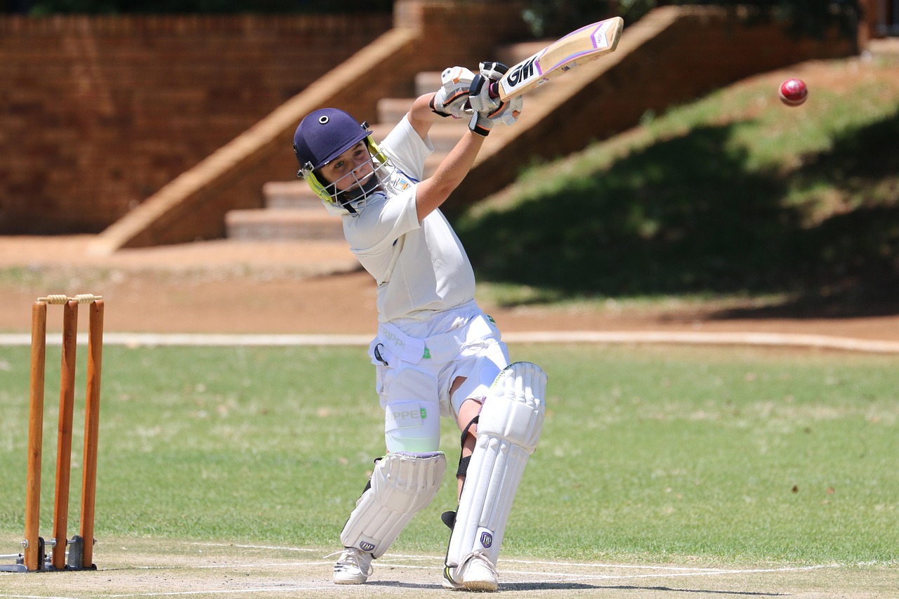 Sport, cricket, batsman, player, bat, game, wicket, cricket, cricket, cricket, cricket, cricket