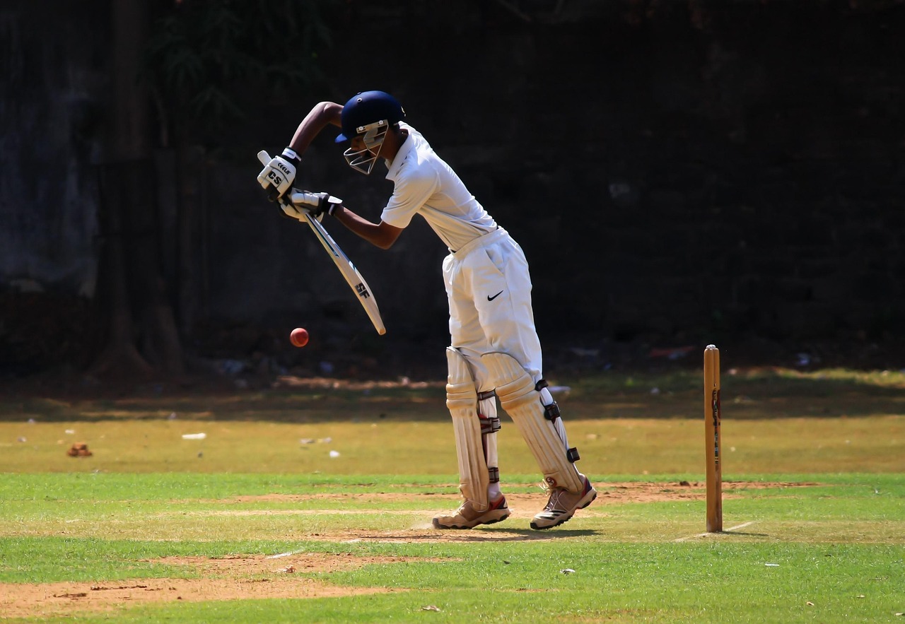 Cricket, defense, batting, defensive, batsman, player, sports, ball game, game, nature, cricketer, grass, outdoor