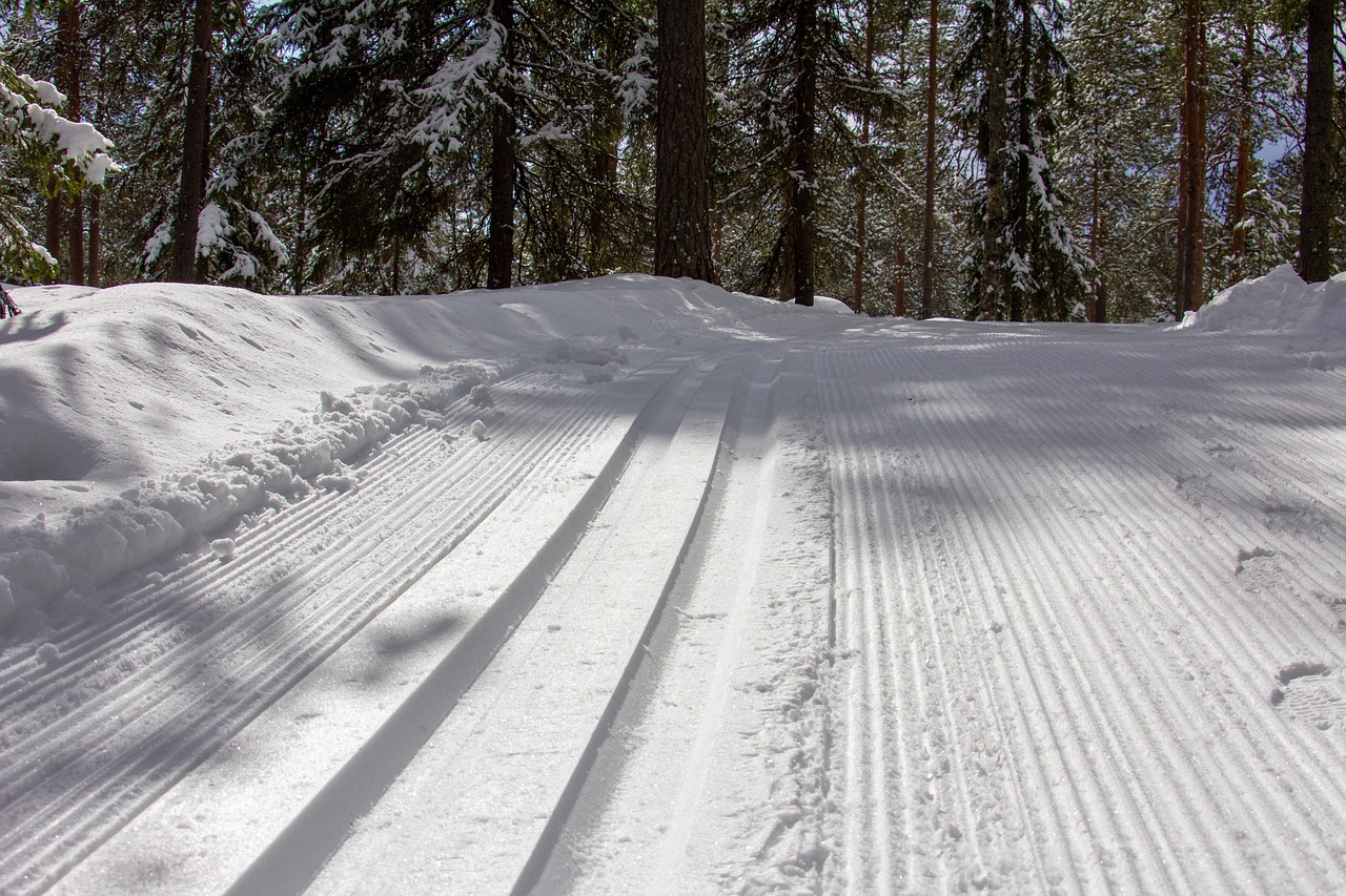 Ski tracks, snow, ski, skiing, winter, cold, nature, sport, landscape, outdoor, hiking, white, wintry, happy, holiday, activity, active, cross-country skiing, exercise, finland, lapland, forest, trees