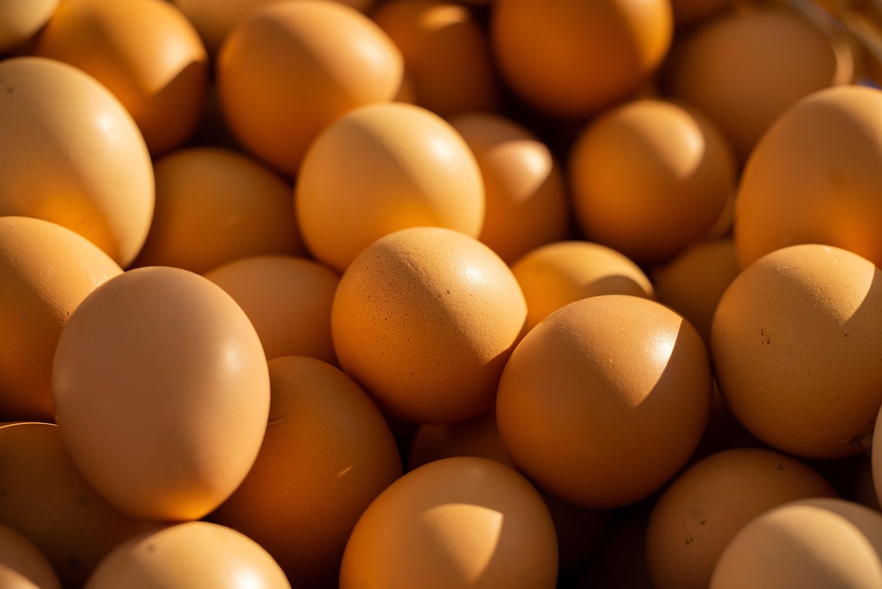Egg, chicken, livestock, poultry, food, healthy, market, diet, vitamin, fresh, raw, nutrition, nature, protein