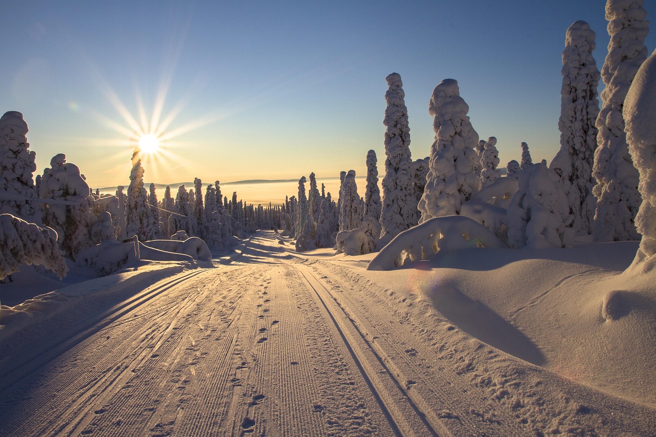Finland, lapland, winter landscape, cross-country skiing, cross-country ski run, sun, sunset, winter sun, nature, midnight sun, sunbeams, shine, snow sculptures, hoarfrost