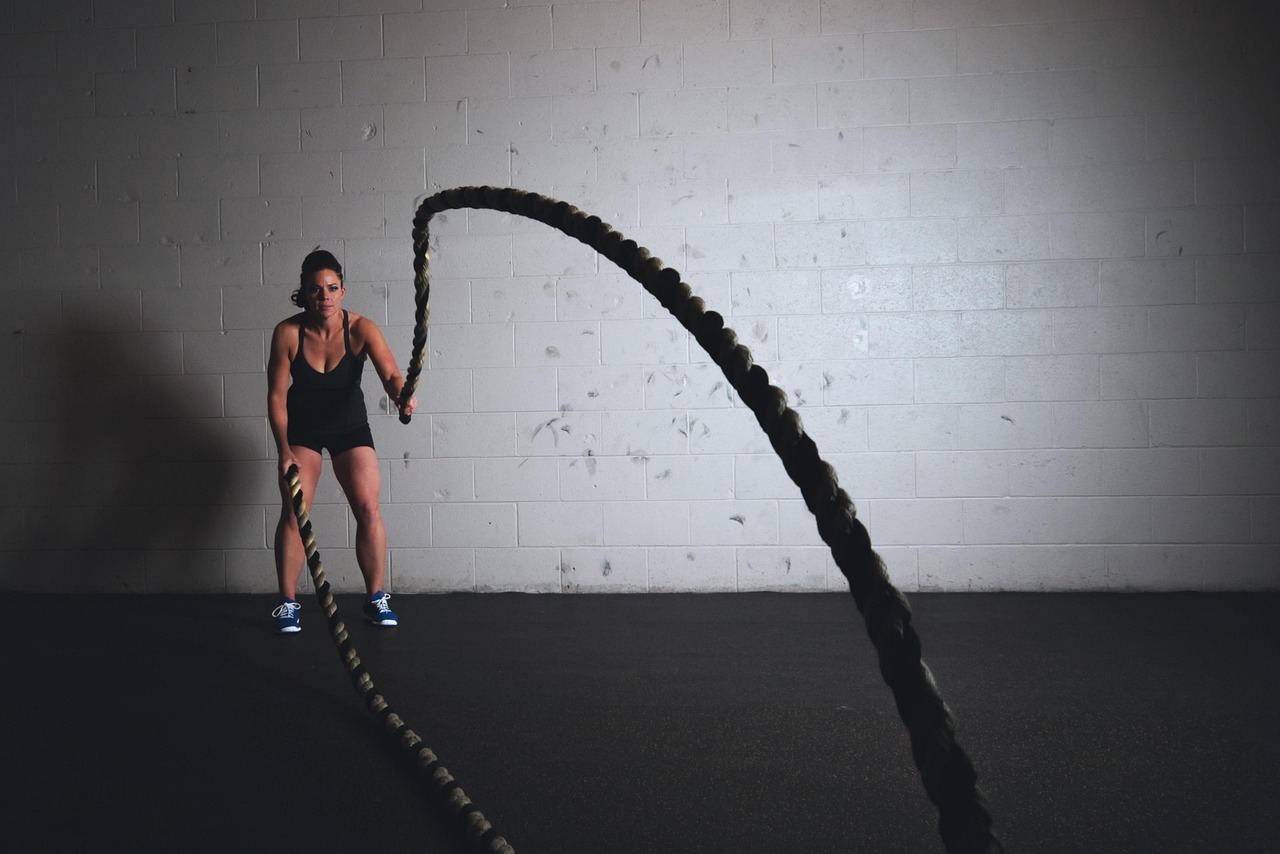 Training, ropes, workout, fitness, exercise, sport, gym, strong, young, woman, person, healthy, lifestyle, body, fit, muscular, studio, athlete, equipment, strength, female, active, power, gym, gym, g
