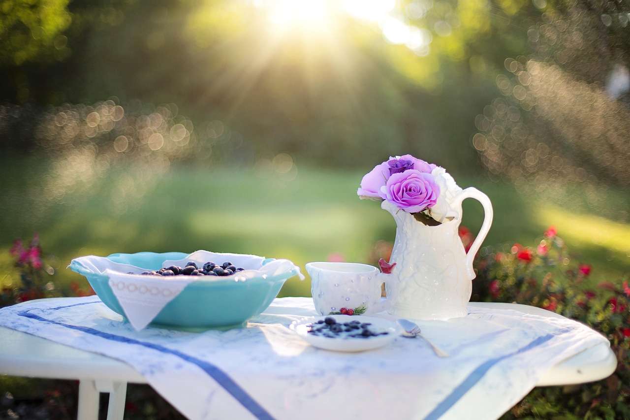 Blueberry, breakfast, sunlight, food, dessert, snack, fruit, berry, meal, delicious, healthy, diet, tasty, sweet, outdoors, table, bokeh, breakfast, breakfast, breakfast, breakfast, breakfast, food, d