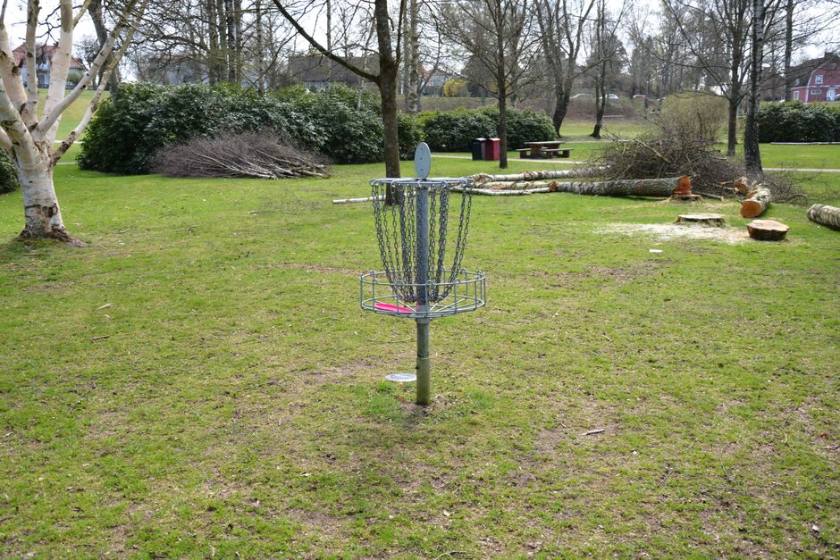 A disc golf basket in a sunny park surrounded by trees and logs.
