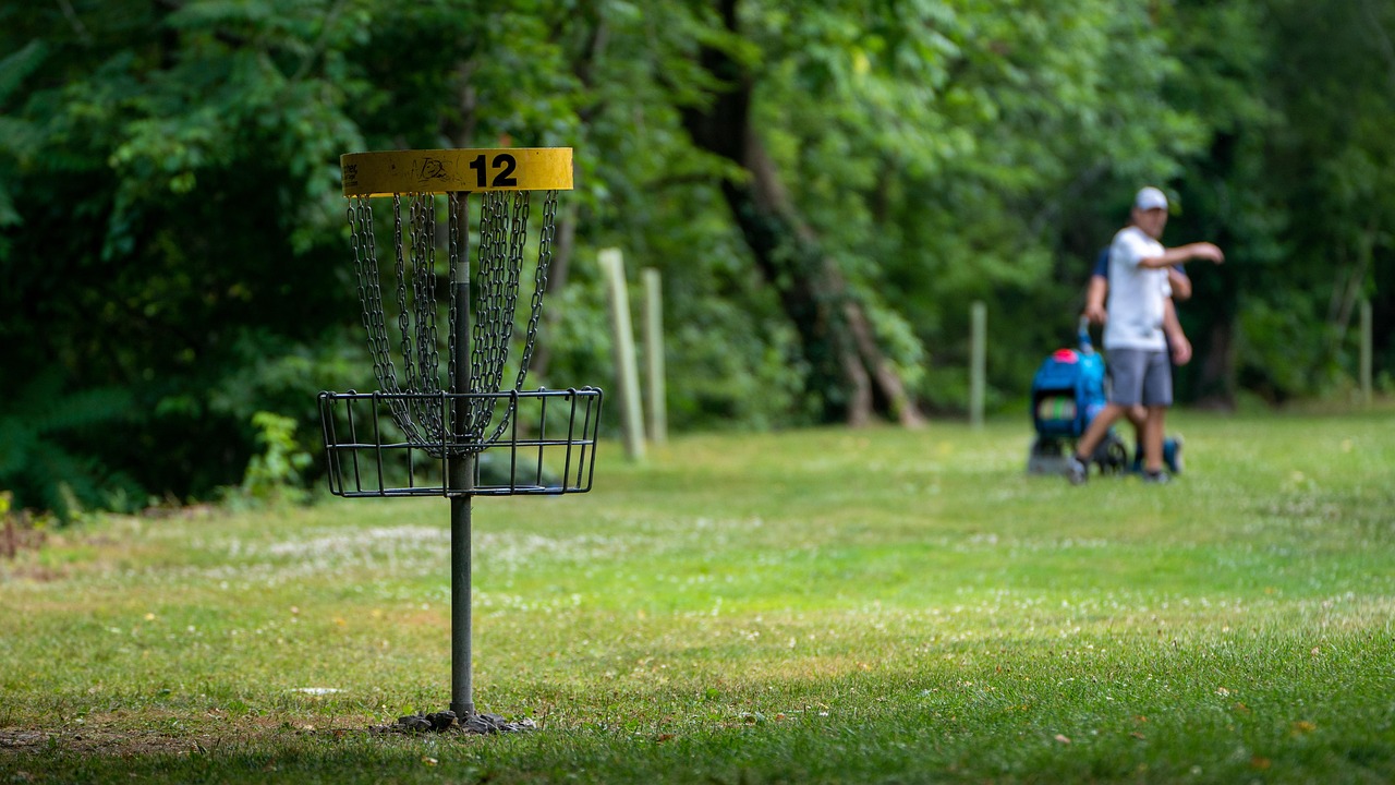 Disc golf, frisbee golf, nature, frisbee, frolf, disc, golf, sport, leisure, play, summer, recreation, game, park, outdoor, basket, target