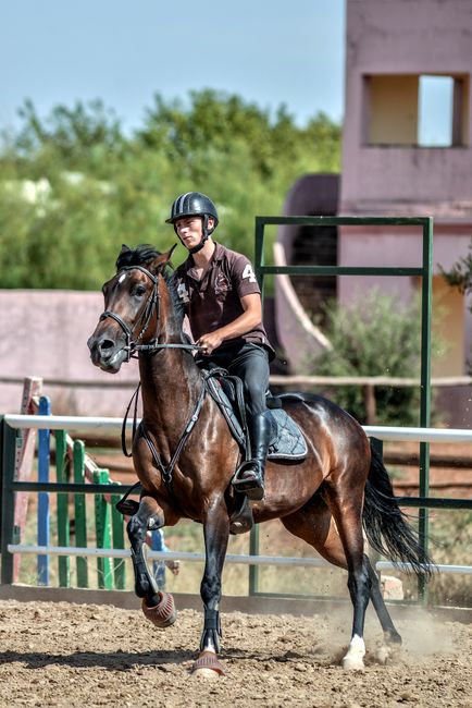 Dynamic image of a jockey riding a horse during a sunlit equestrian event.