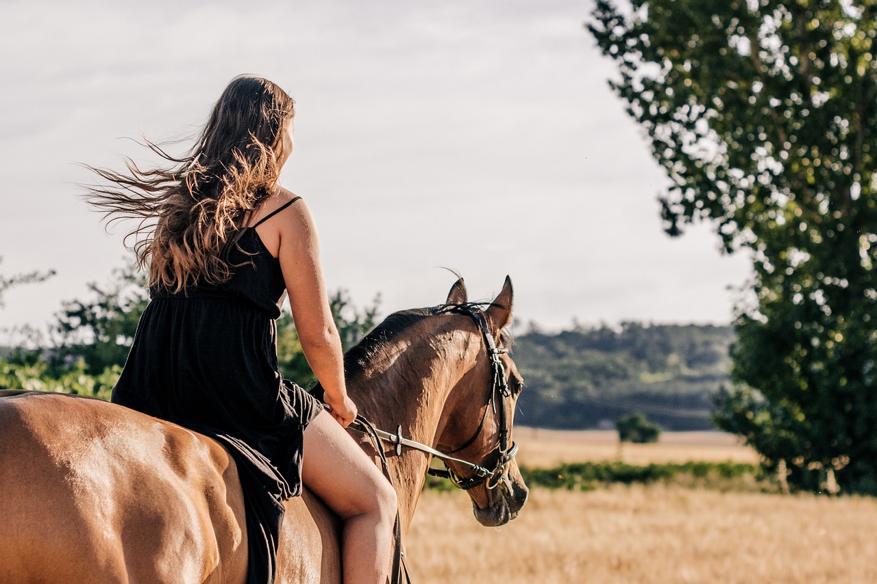 Horseback riding, horse, woman, nature, equine, animal, field, summer, landscape, horseback riding, horse, horse, horse, horse, horse