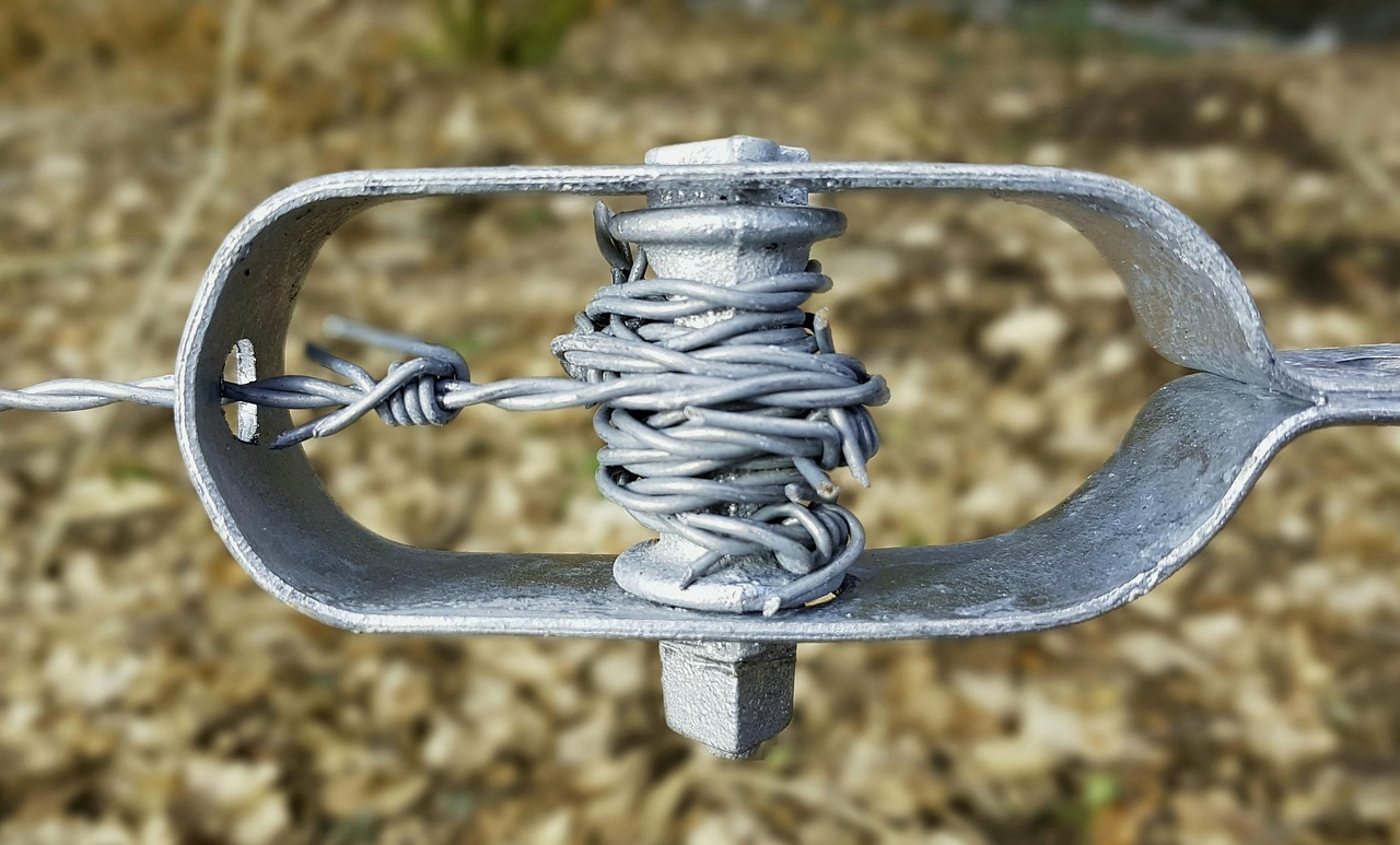 Barbed wire, fence, fencing, security, protection, iron, wire, clamping, metal, pasture fence, shut off, lock up, sting, pointed, clamping bolt, detail, close up, silver, agriculture, equipment