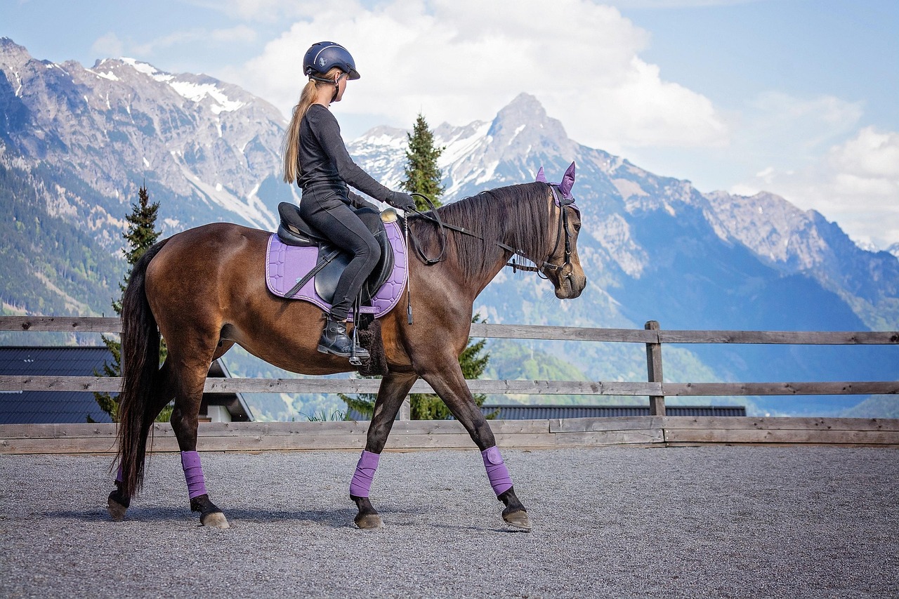 Horse, girl, riding lessons, pony, riding pony, equestrian, equine, animal, brown horse, pony ride, ride, stable, horsewoman, rider, horseback riding, horse riding, riding school, nature, riding space