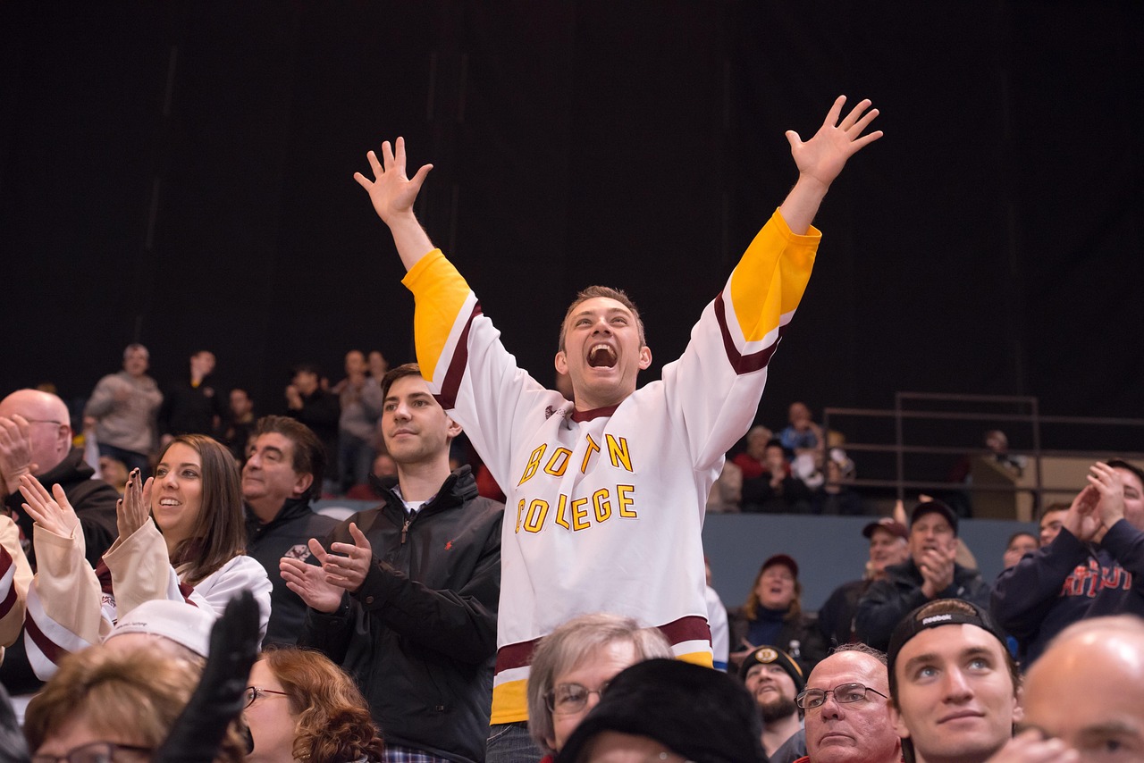 Hockey, sport, ice hockey, fan, team, hockey, hockey, hockey, hockey, hockey, ice hockey, ice hockey, ice hockey