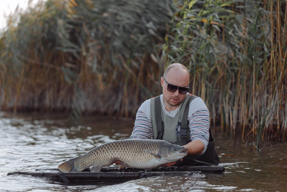 A man in waders holding a large carp fish while standing in the lake during the daytime.