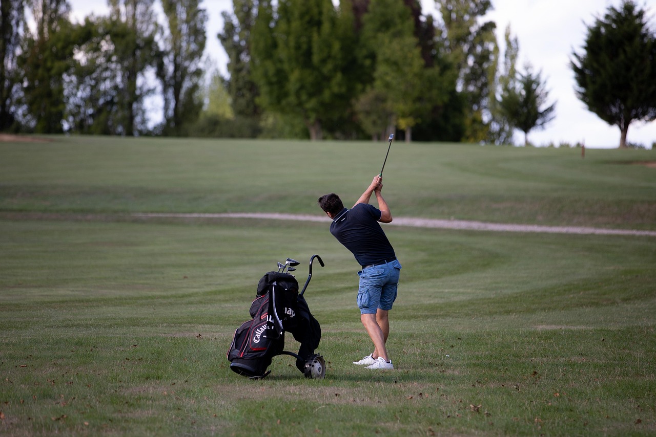 Golf, golf ball, sport, golf course, golf, golf, golf, golf, golf