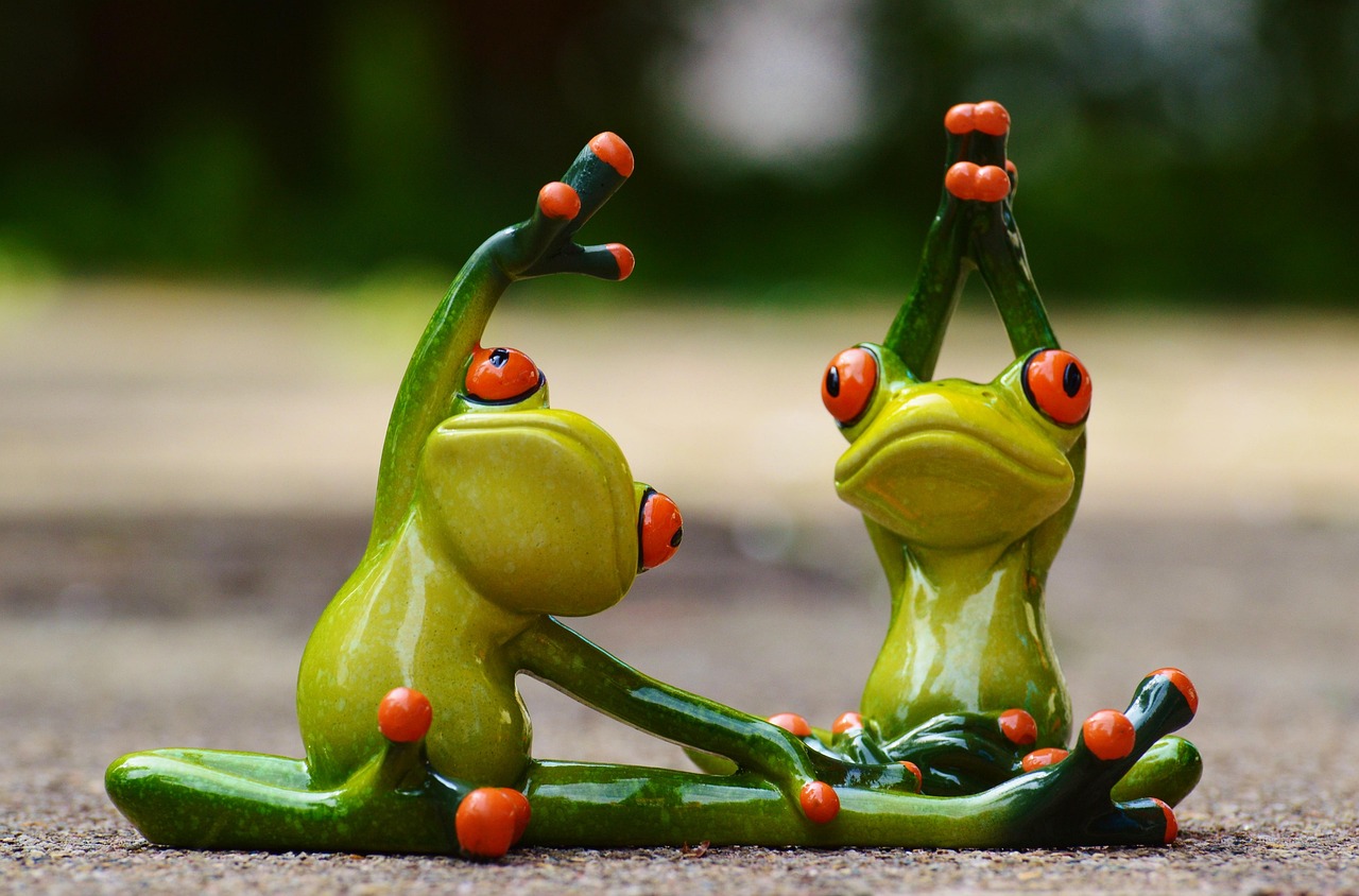 Sports, gymnastics, frog, fun, fitness, fit, athletic, training, gymnastics, gymnastics, gymnastics, gymnastics, frog, frog, frog, frog, frog, fitness, fitness, fitness, training, training, training