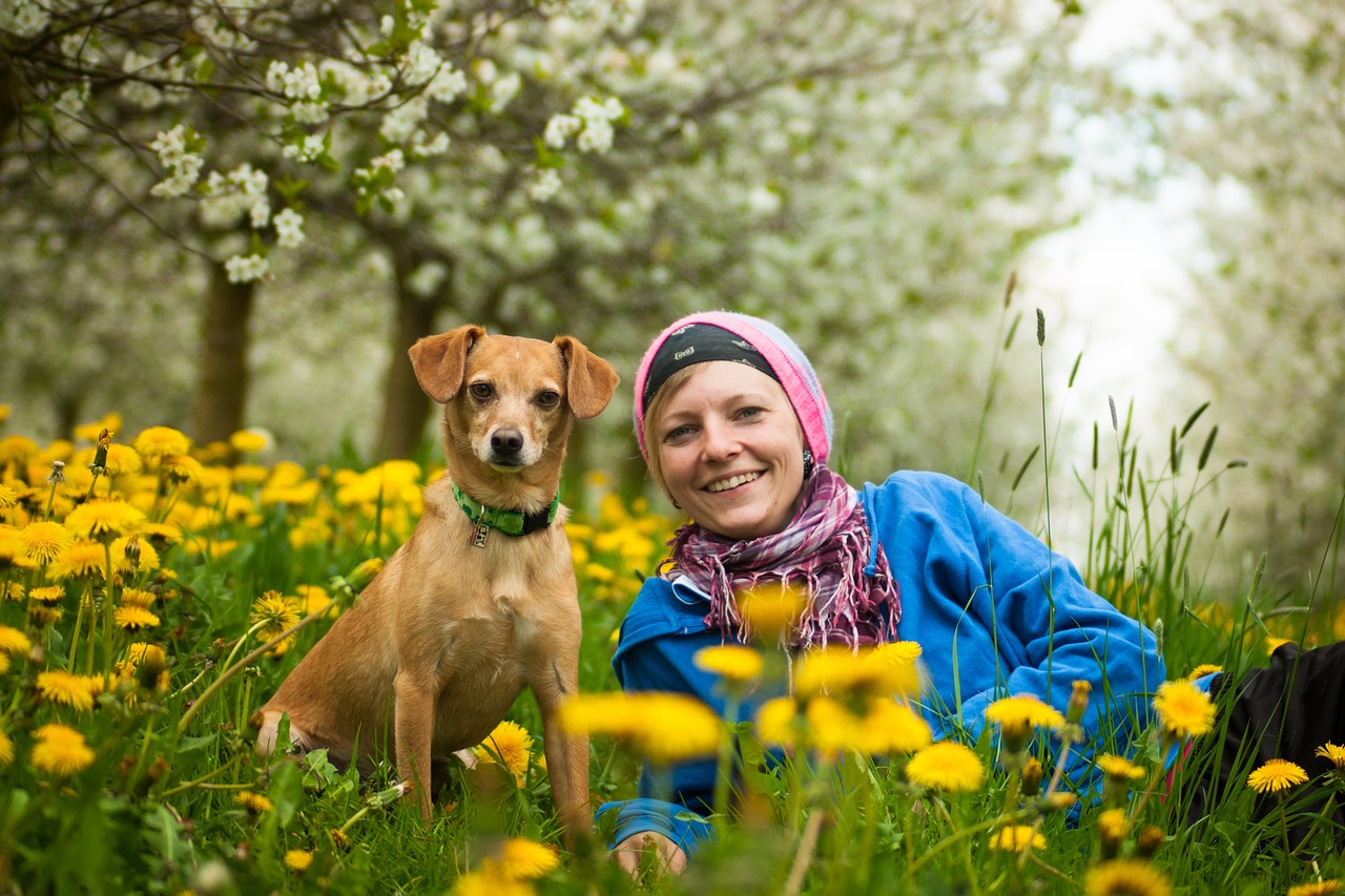 Team, animal, pet, woman, dog, human, portrait, a dog-human team, teamwork, together